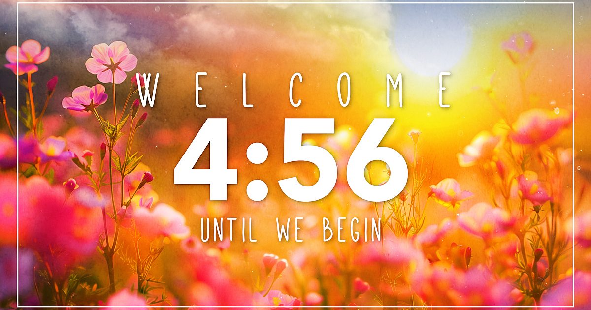 Colorful Spring Flowers Countdown