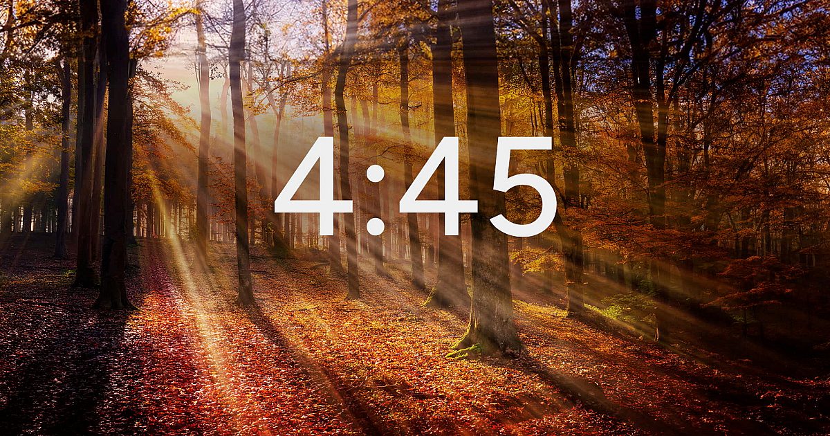 Autumn Light Minimal Countdown