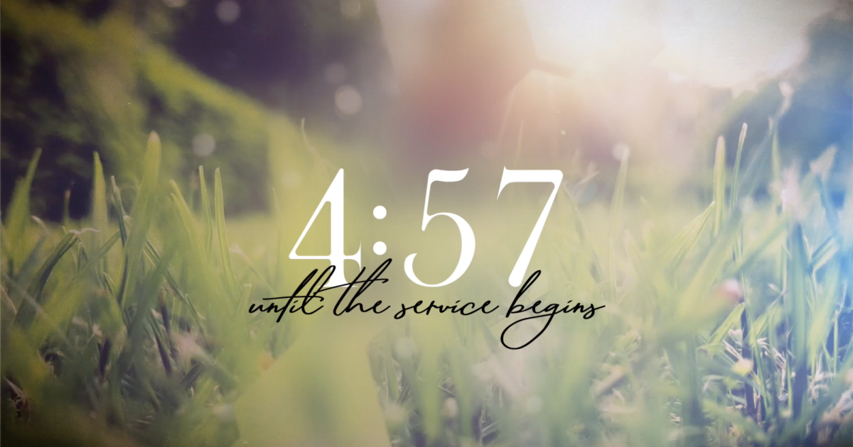 Spring Journey Spring Journey Countdown
