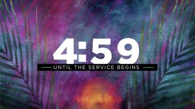 Radiant Paint Palm Sunday Countdown