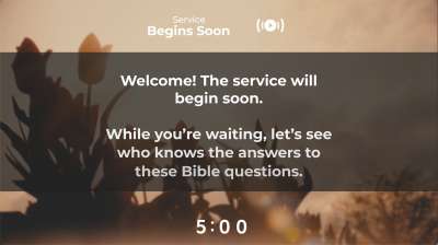 Muted Spring Trivia Countdown