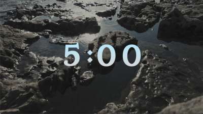 Northern Shores Countdown