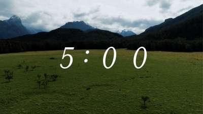 Peaceful Flight Countdown