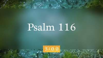 Blue Eye Scripture Countdown