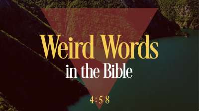 Vintage Lake Trivia Countdown