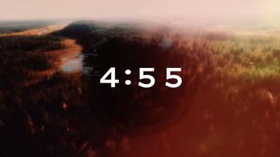 Thanksgiving Flight Countdown