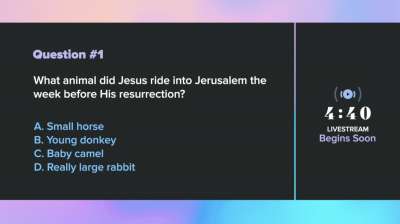 Easter Foil Trivia Countdown