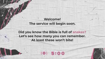 Steeples Trivia Countdown