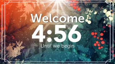 Berry Christmas Countdown