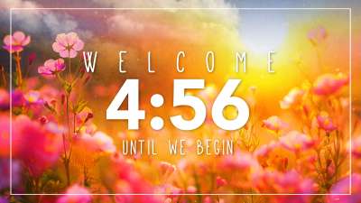 Colorful Spring Flowers Countdown