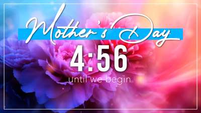 Mother's Day Carnations Countdown