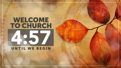 Orange Leaf Countdown