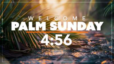 Palm Sunday Branch Countdown