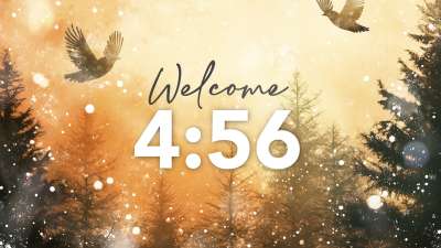 Christmas Forest Countdown