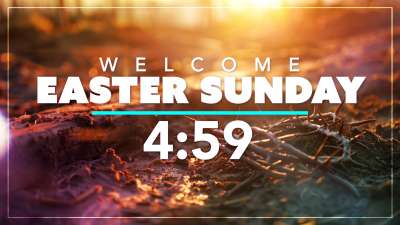 Easter Crown of Thorns Countdown