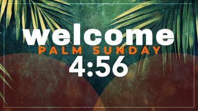 Palm Orange Countdown