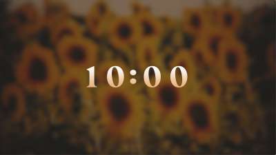 Vintage Sunflowers 10 Min Countdown