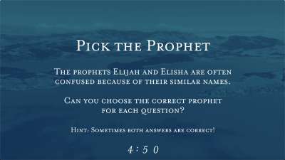 Peaceful Flight Trivia Countdown