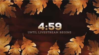 Autumn Glow Livestream Countdown