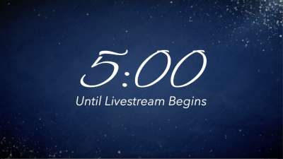 Calm And Bright Countdown Livestream