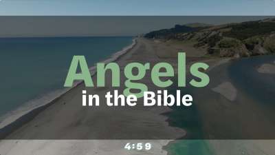 Kiakoura Trivia Countdown