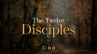 Autumn Vibes Trivia Countdown