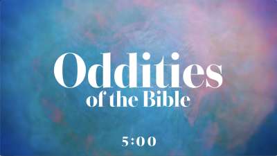 Eye Of The Beholder Trivia Countdow