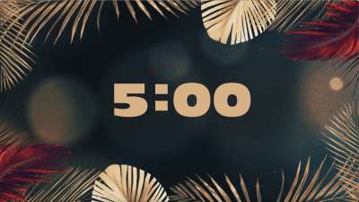 Vibrant Palms Countdown