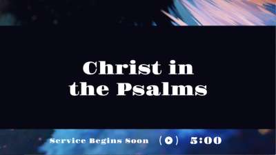 Beautiful Disruption Extra Scripture Countdown