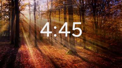 Autumn Light Minimal Countdown