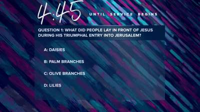 Color Brush Trivia Countdown