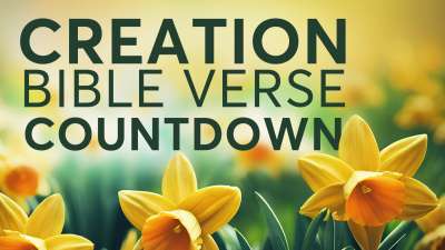 Creation Bible Verse Countdown