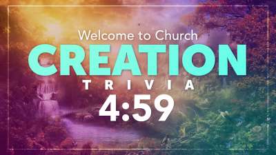 Creation Trivia Countdown