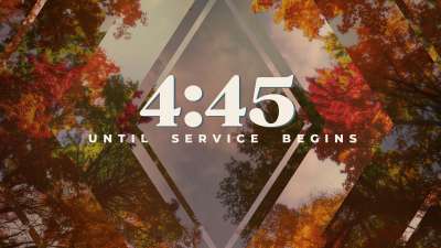 Fall Trees Countdown