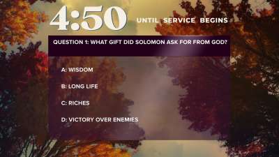 Fall Trees Trivia Countdown