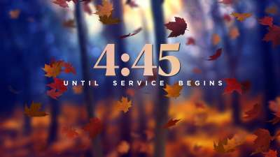 Fall Woods Countdown