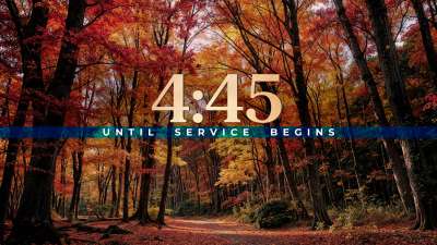 Forest Fall Countdown