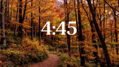 Forest Fall Minimal Countdown