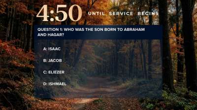 Forest Fall Trivia Countdown