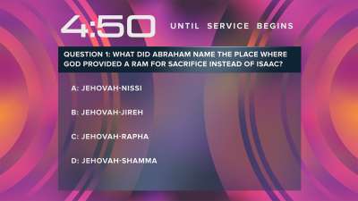 Neon Summer Trivia Countdown