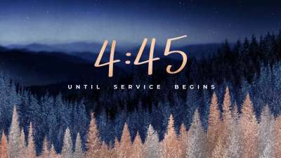 Sparkling Trees Countdown