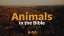 Animals In The Bible Trivia Countdown