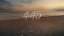 Mother's Day Sunset Countdown